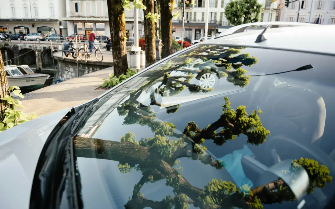 Bäume spiegeln sich in der Windschutzscheibe eines Autos.